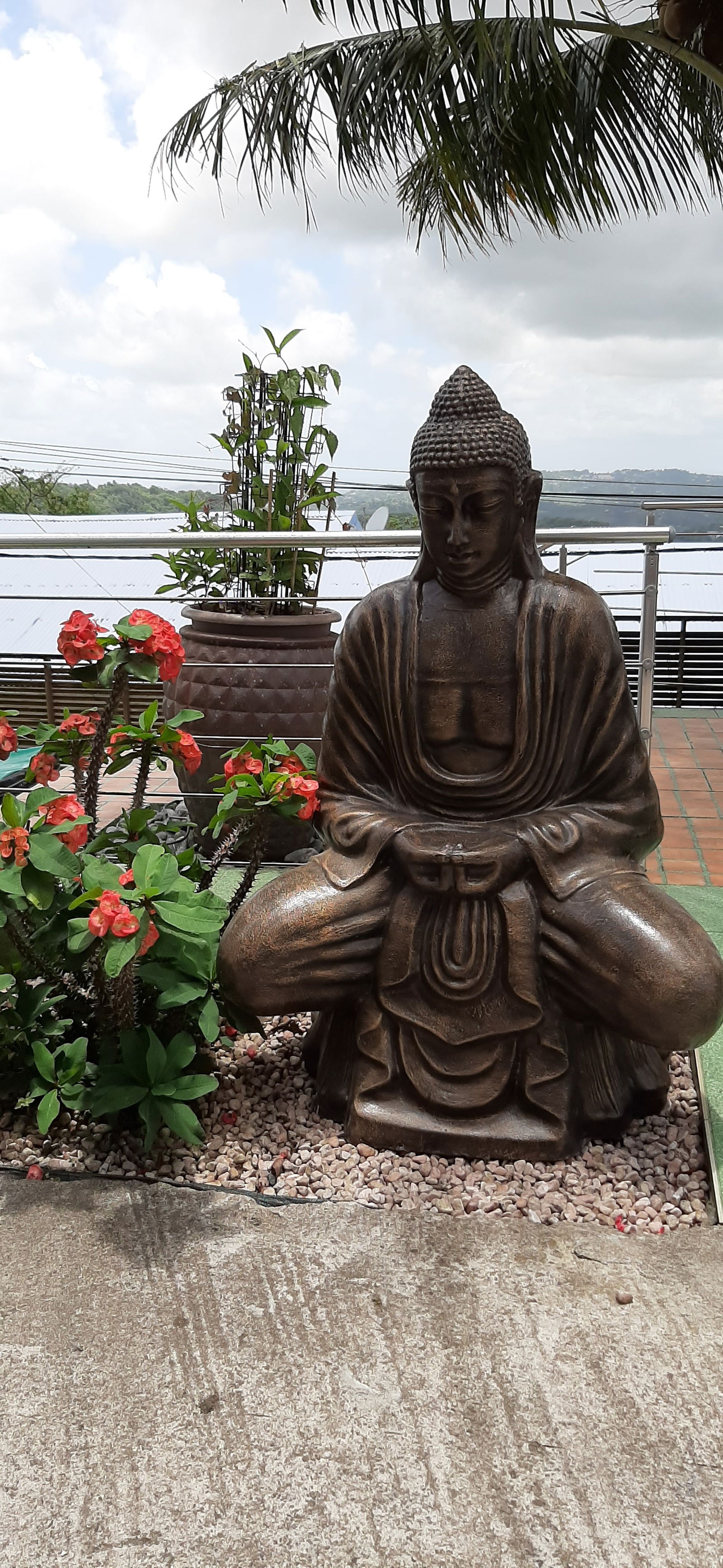 Gastfamilie Fort-de-France 236983