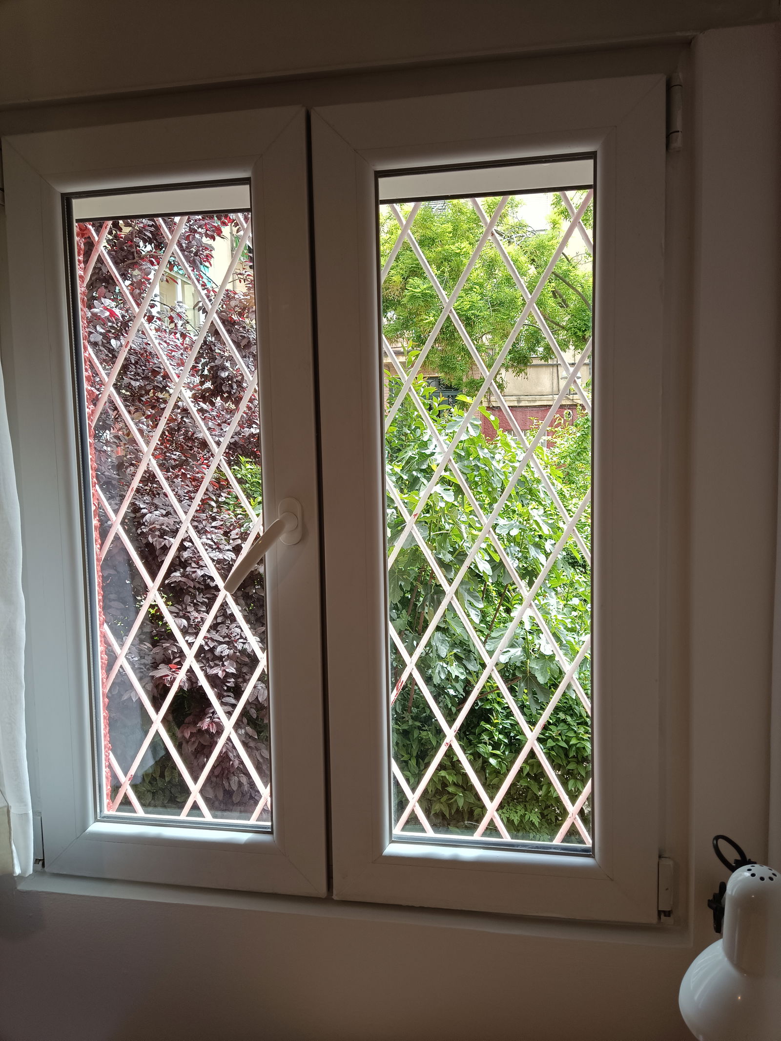 Kolokation Madrid 578521