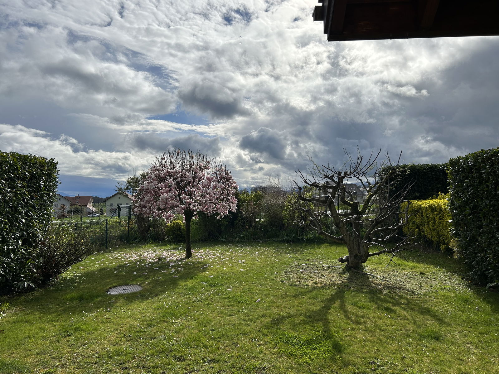 Gastfamilie Vinzel 289833