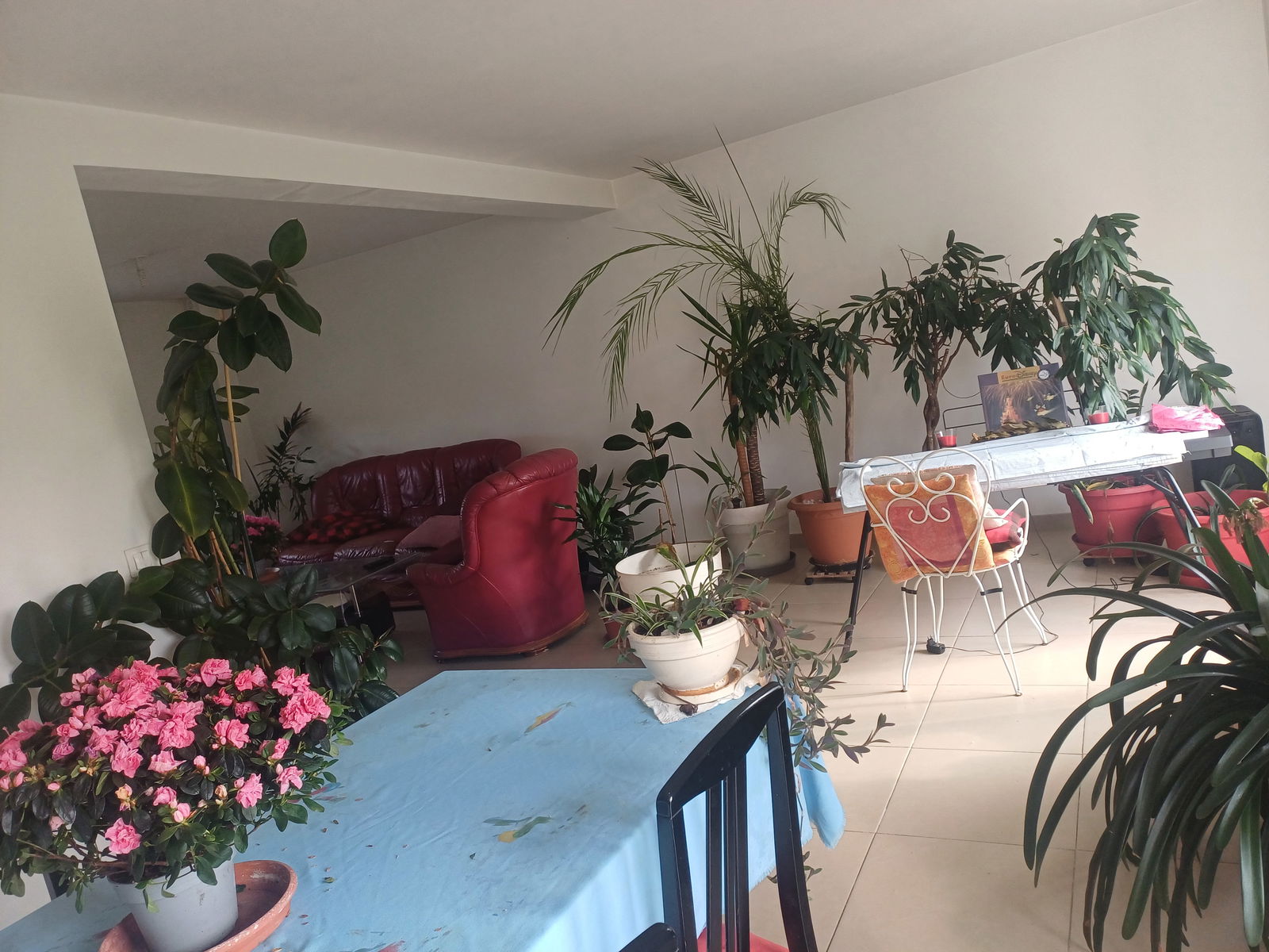 Gastfamilie Quincy-Voisins 116334