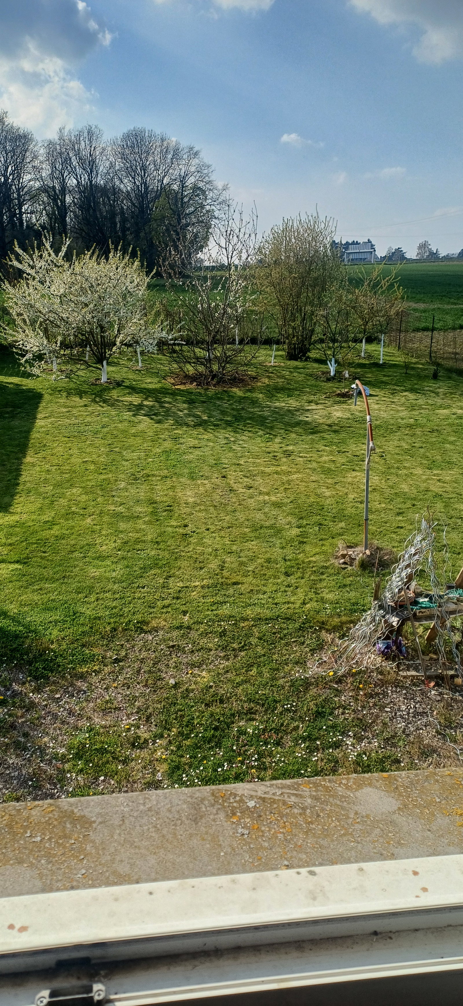 Gastfamilie Quincy-Voisins 116334