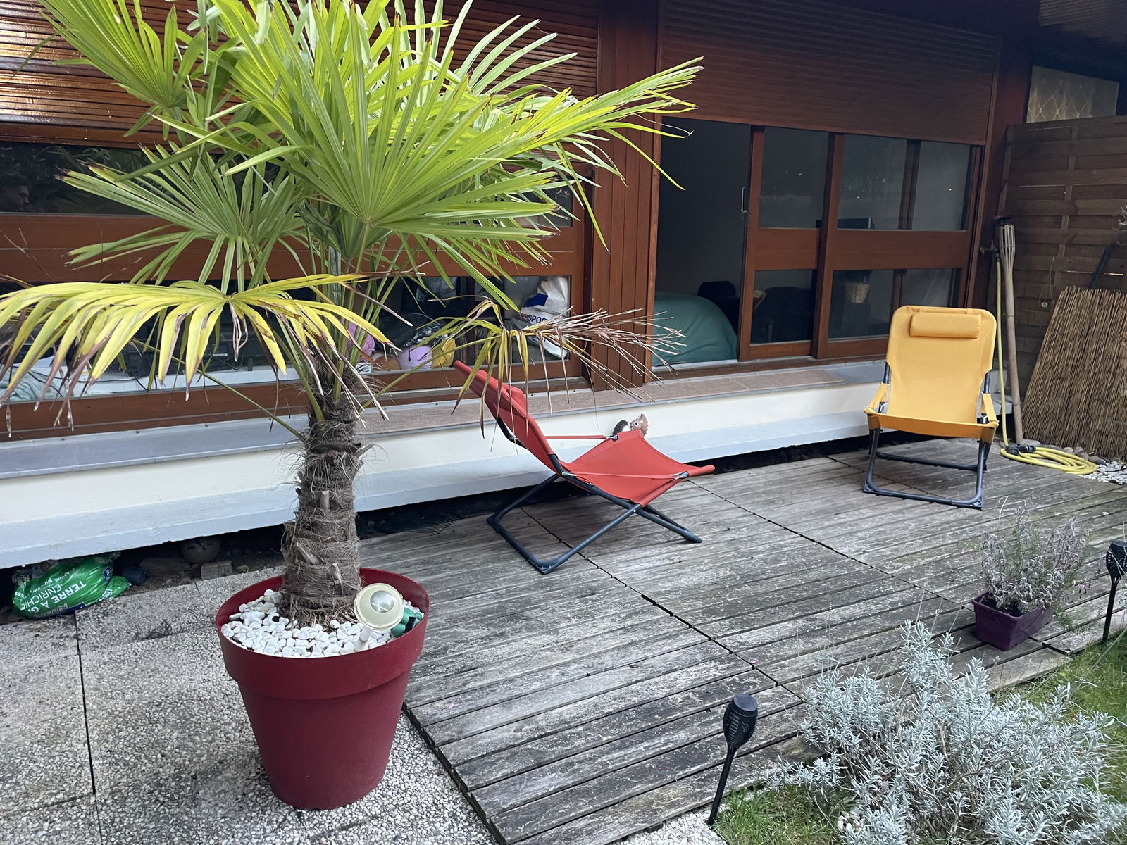 Kolokation Le Chesnay-Rocquencourt 612915