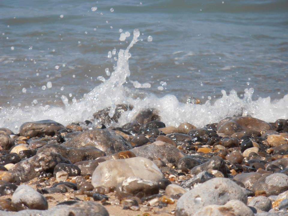 Unabhängiges Studio Quiberville 262195