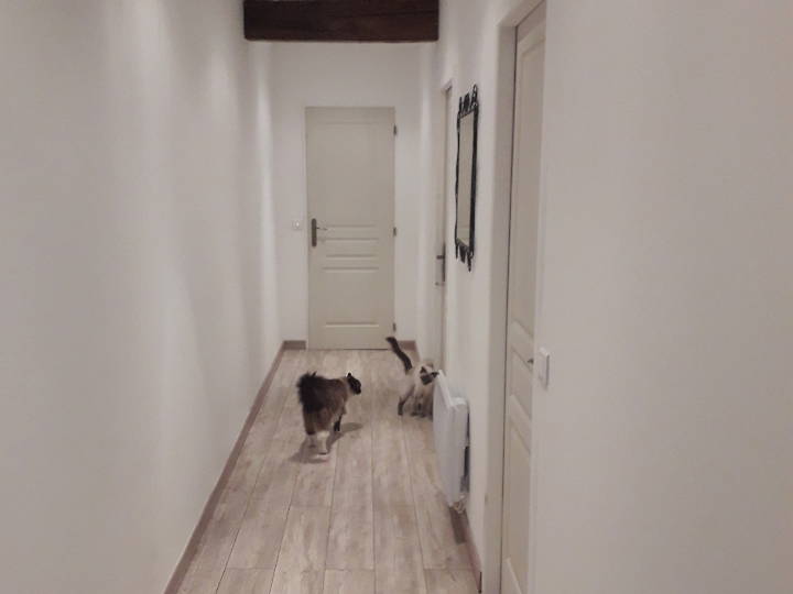 Chambre Chez L'habitant Béthisy-Saint-Martin 312475-2