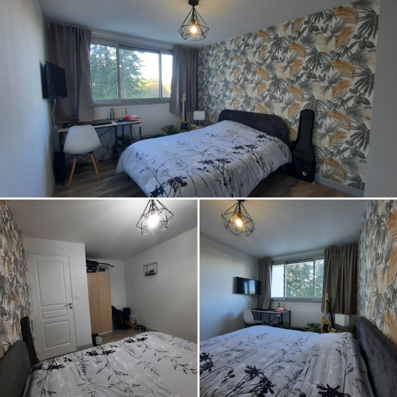 Colocation Niort 255066