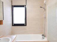 Kolokasie Créteil 516675-3