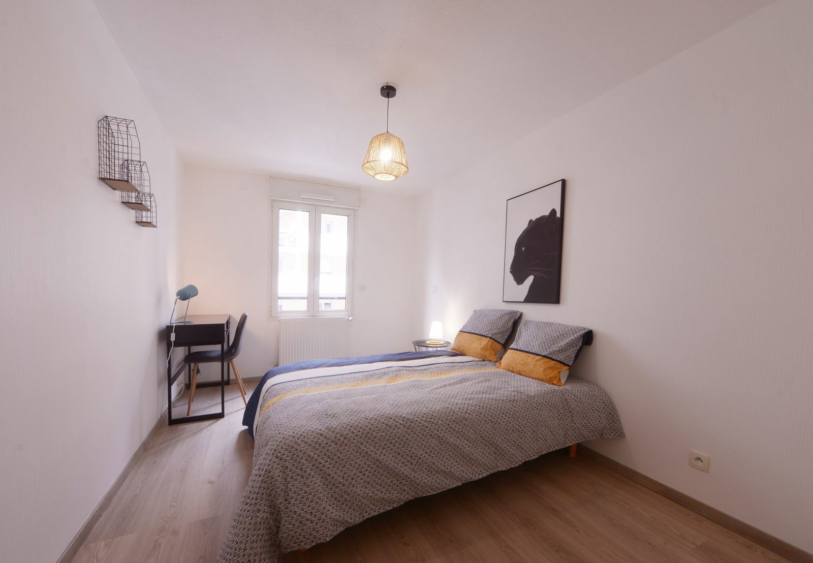 Colocation Annemasse 249202