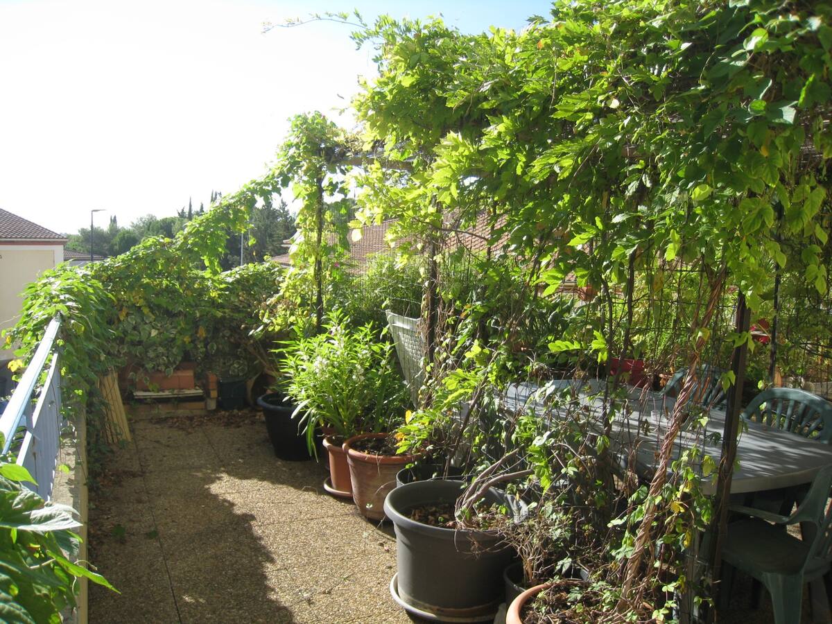 Kotimajoitus Montpellier 379997