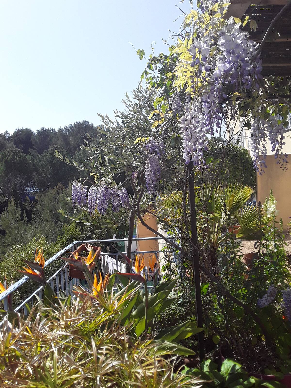 Kotimajoitus Montpellier 379997