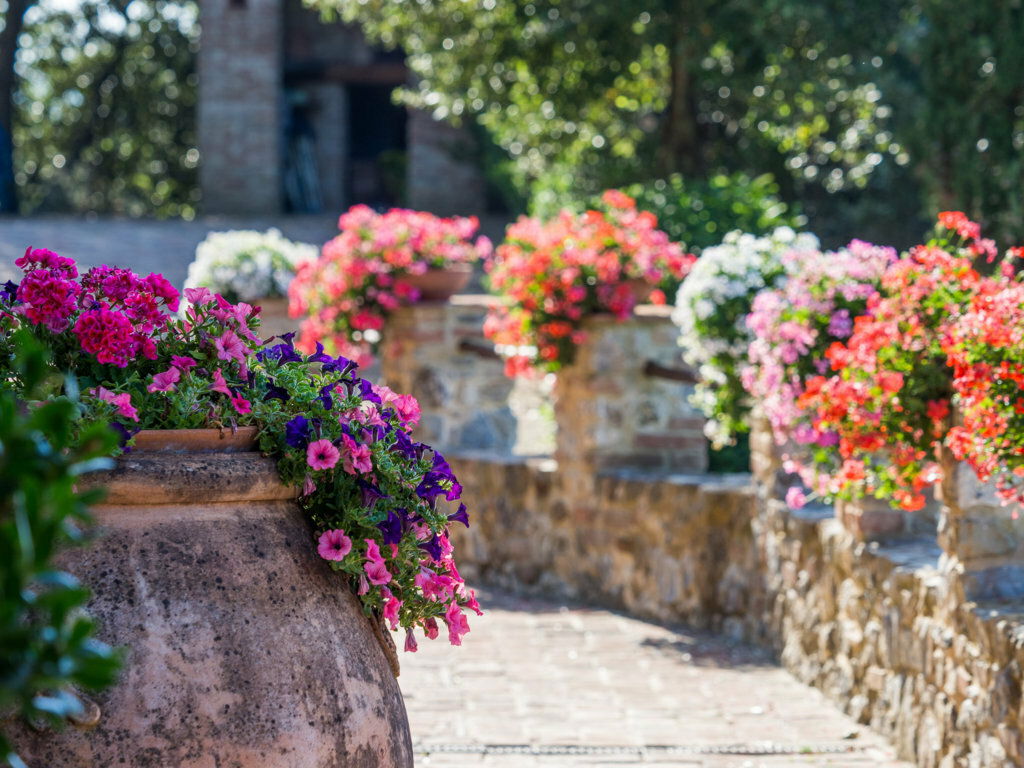 Independent Studio Pari 193577