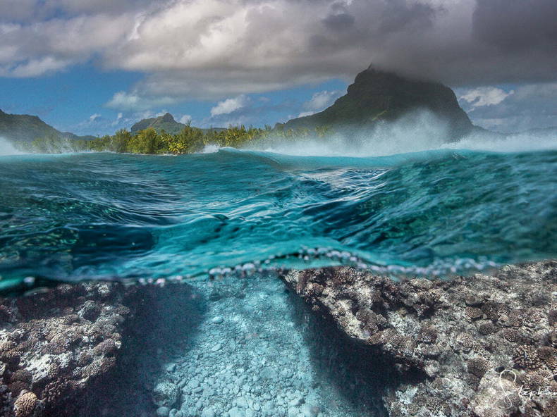 Cały Dom Papeete 255289-1