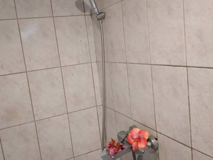 Cały Dom Papeete 255289-5