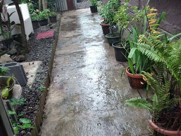 Logement Entier Papeete 255289-10