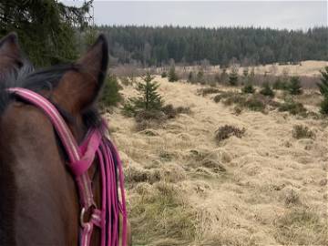 Chambre Chez L'habitant Jalhay 262314-6