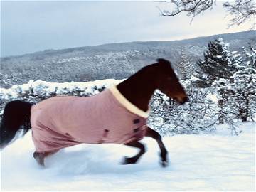 Chambre Chez L'habitant Jalhay 262314-9
