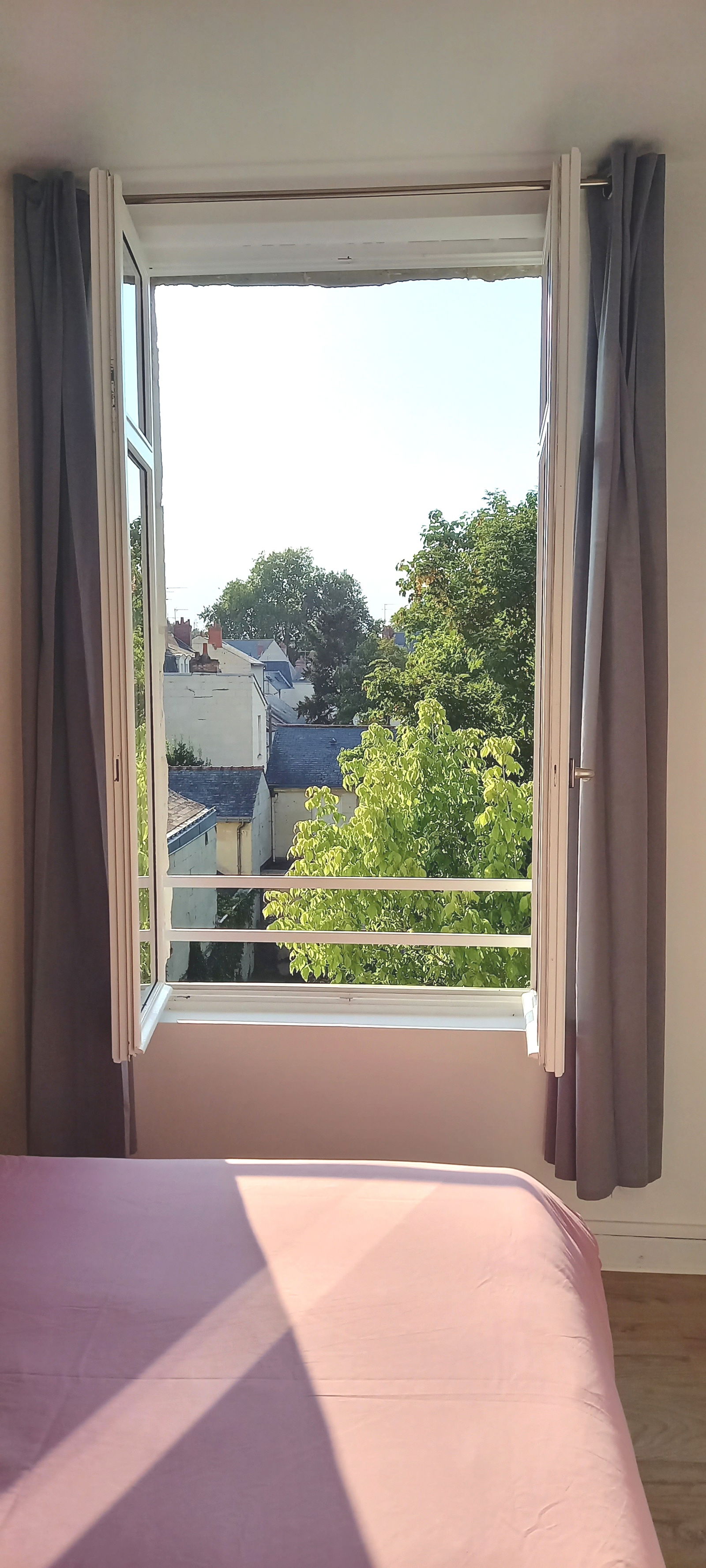 Colocación Saumur 260547