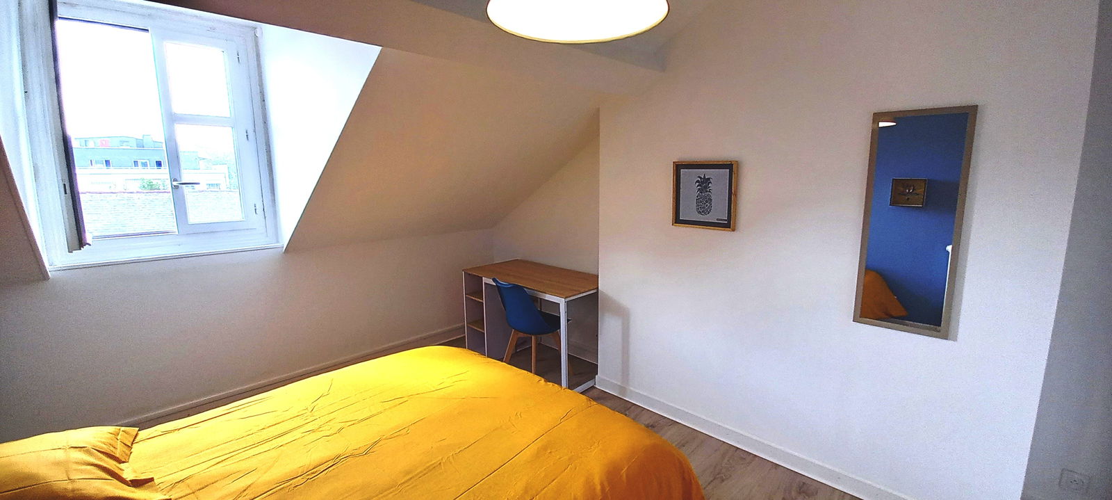 Colocación Saumur 259639