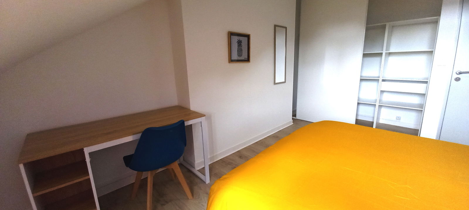 Colocation Saumur 259639
