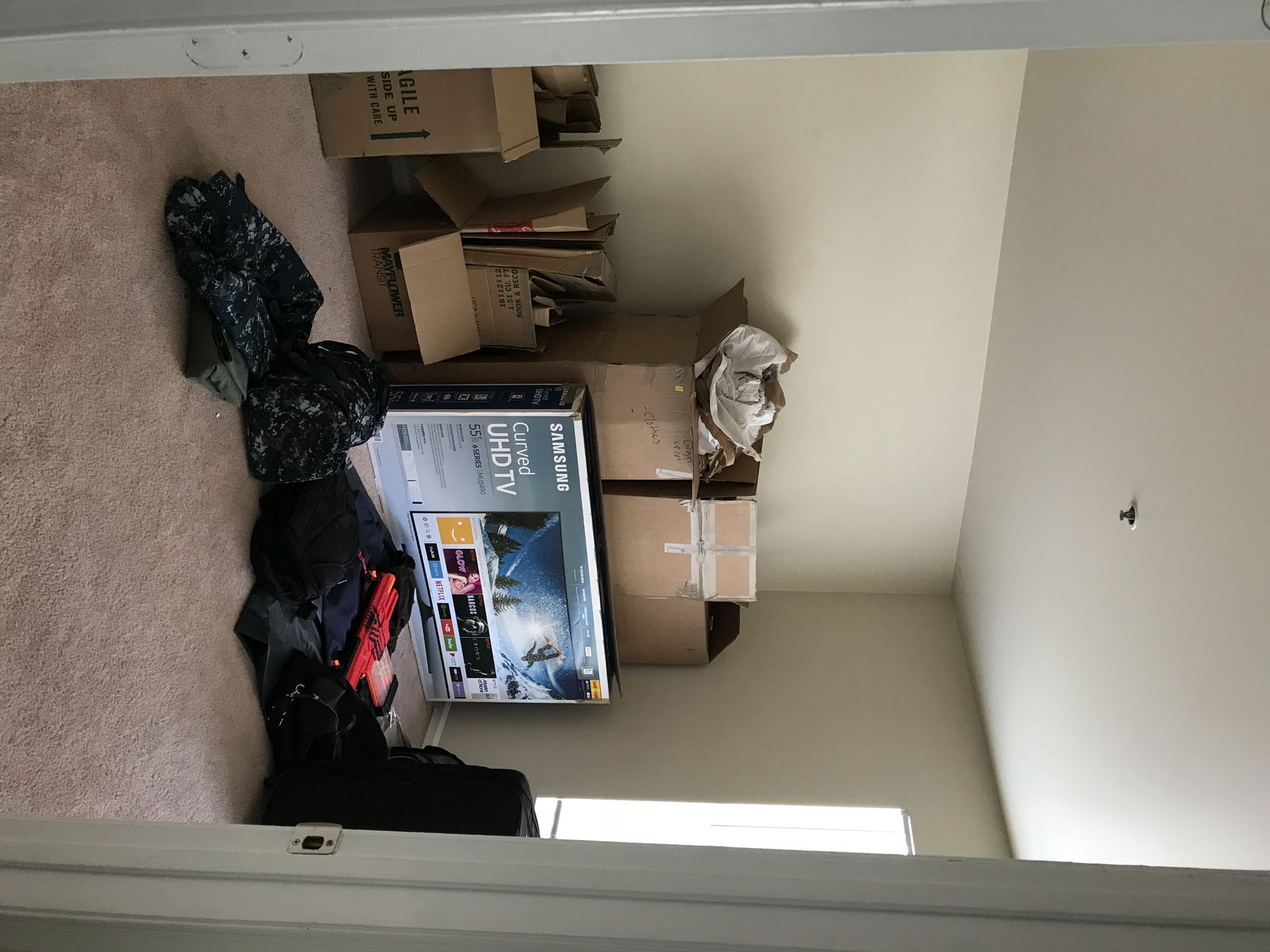 Famiglia Hampton 196906