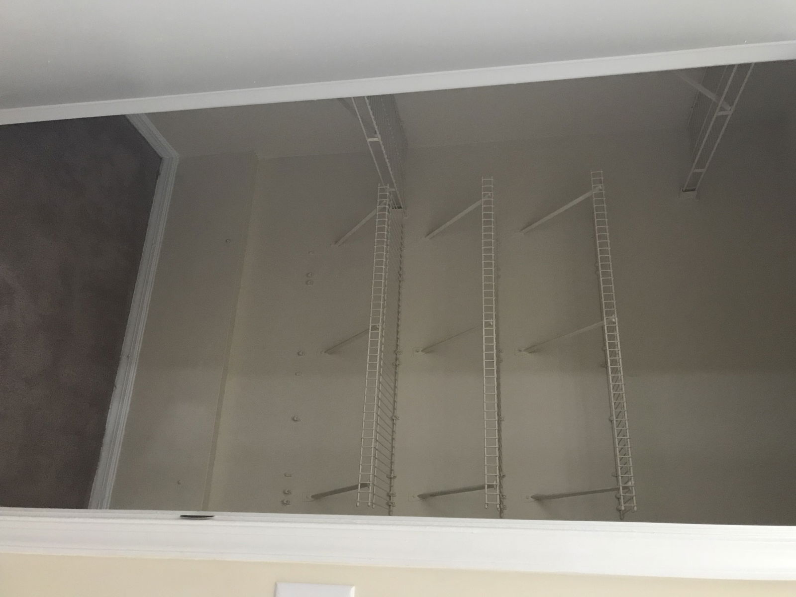 Famiglia Hampton 196906