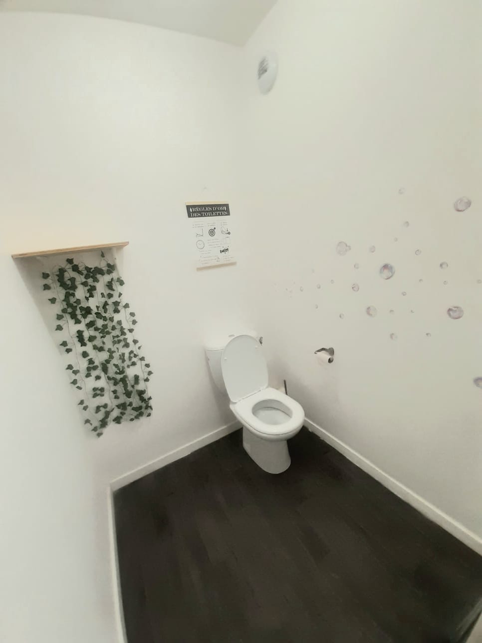 Kolokation Stains 459033