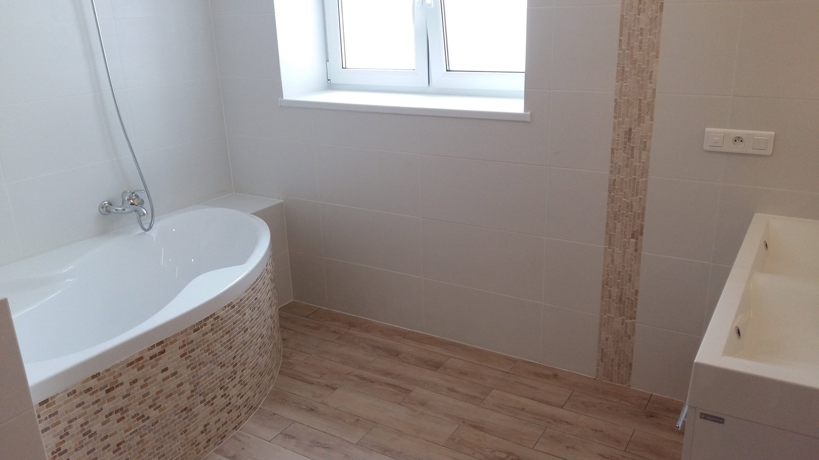 Kolokasie Sergy 211855