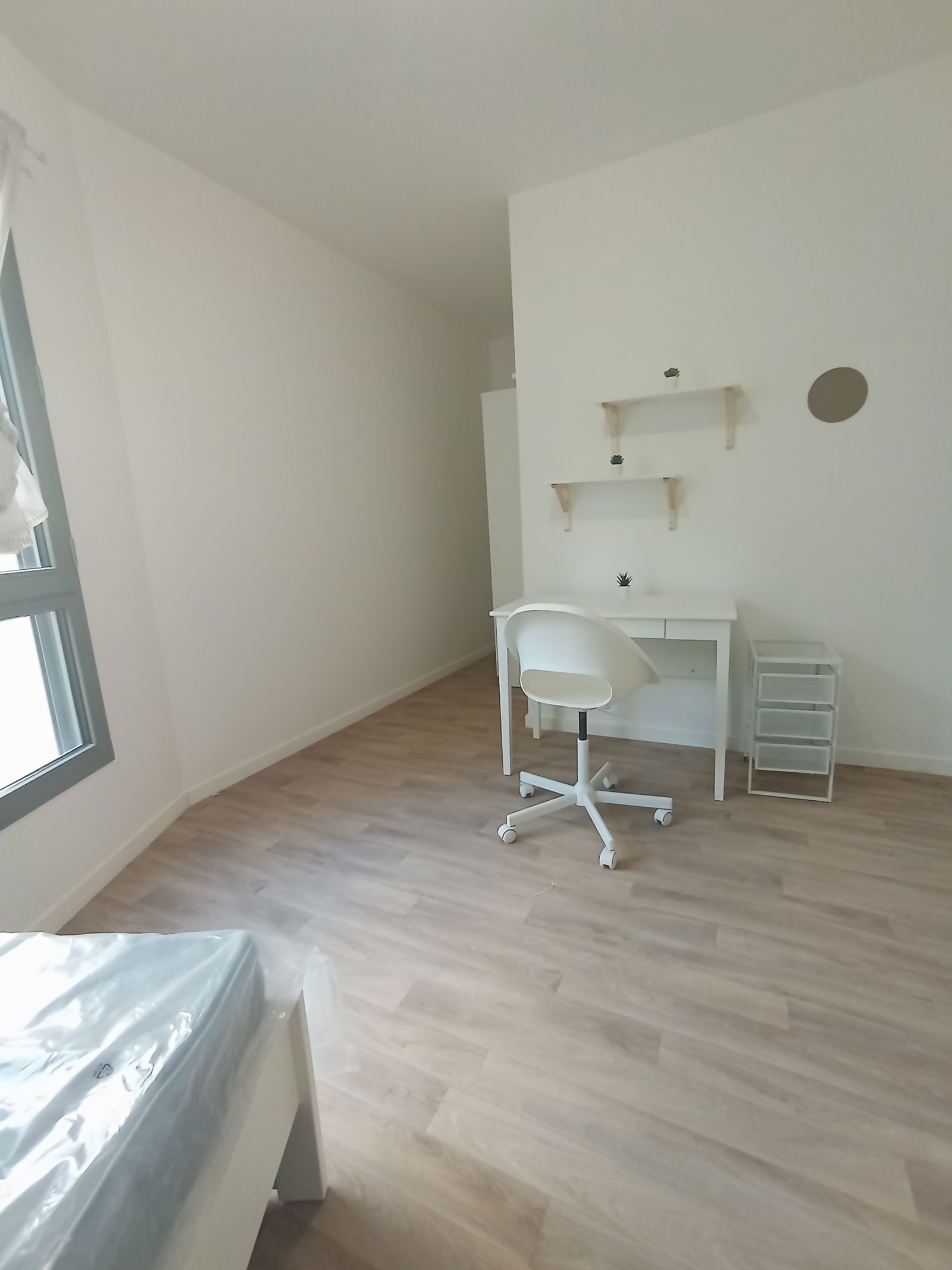 Colocation Stains 459033