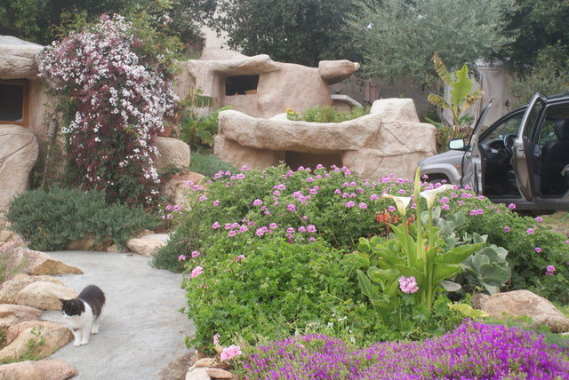 Ganzes Haus Serra-di-Ferro 45909