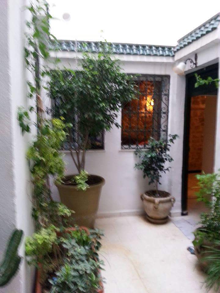 Estudio Independiente Tunis 144287