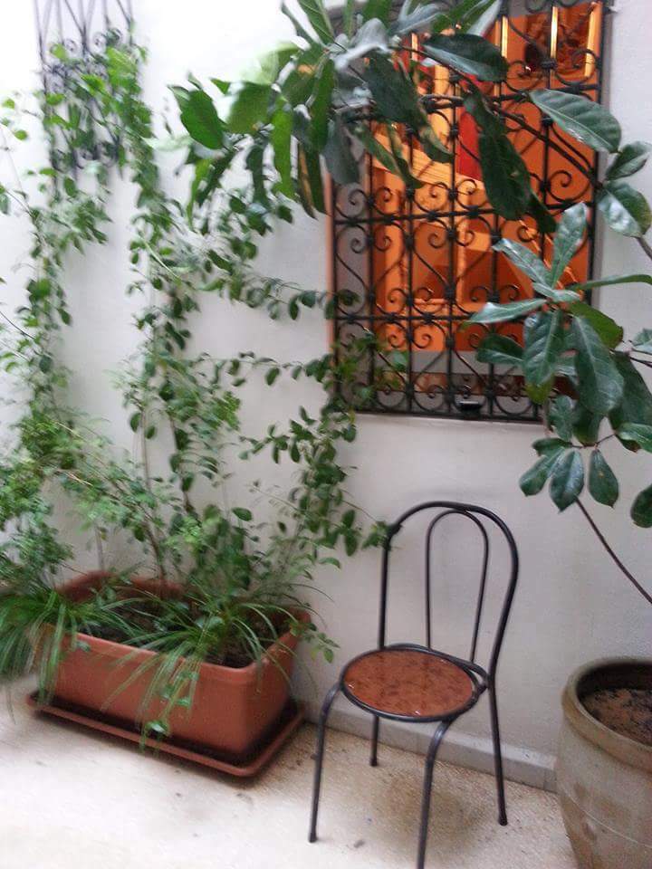 Estudio Independiente Tunis 144287