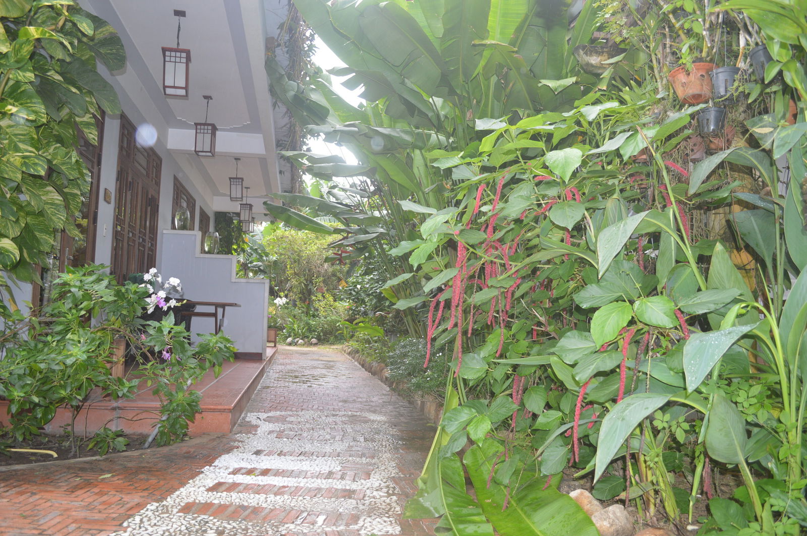 Bed And Breakfast Thành phố Hội An 157074