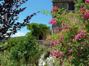 Logement Entier Saint-Pierre-Saint-Jean 45434-6