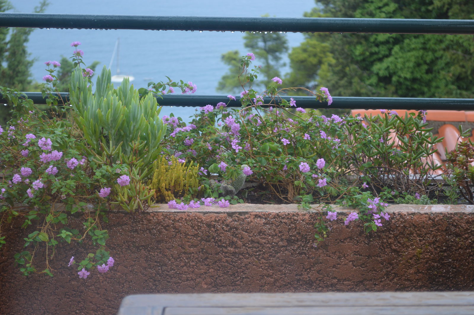 Homestay Port-Vendres 158760