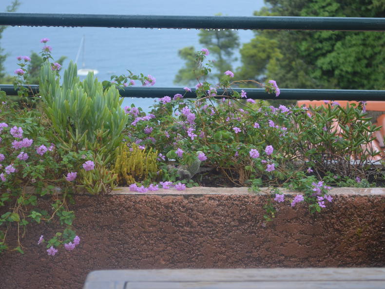 Chambre Chez L'habitant Port-Vendres 158760-3