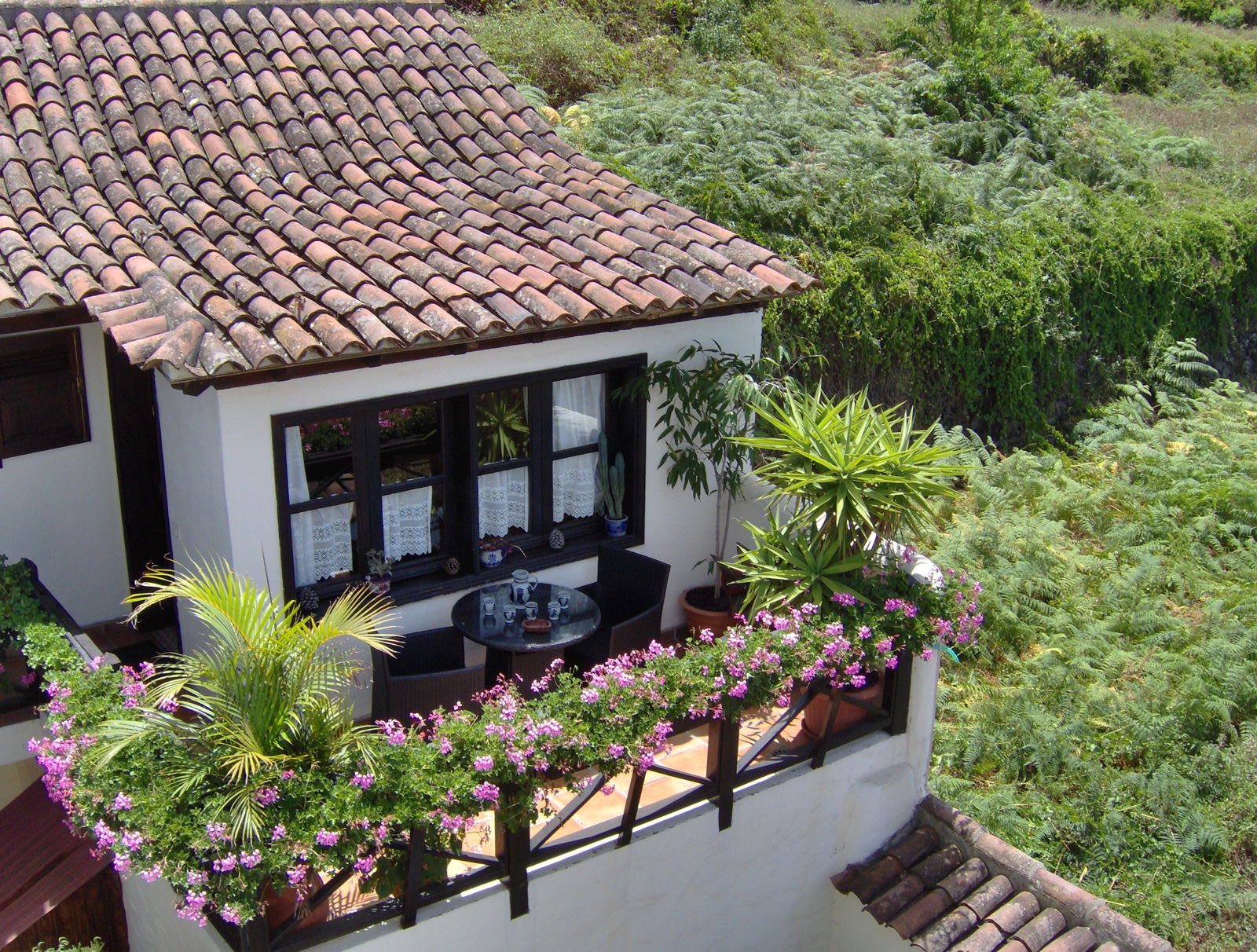 Independent Studio Icod de los Vinos 242927