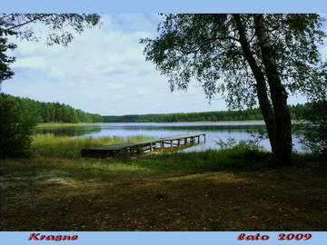 Logement Entier Przechlewo 47275-11