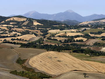 Logement Entier 61049 212756-11