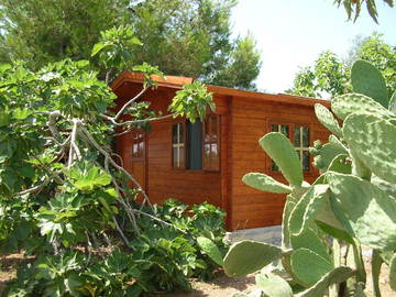 Habitación En Alquiler Gagliano Del Capo 196203