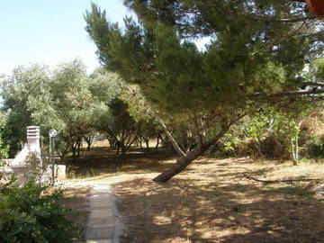 Logement Entier Gagliano Del Capo 196203-8