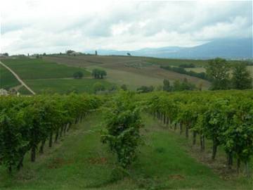 Logement Entier Bastia Umbra 114634-10