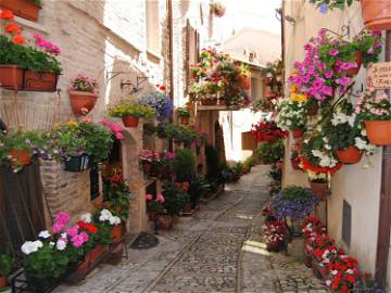 Logement Entier Bastia Umbra 114634-12