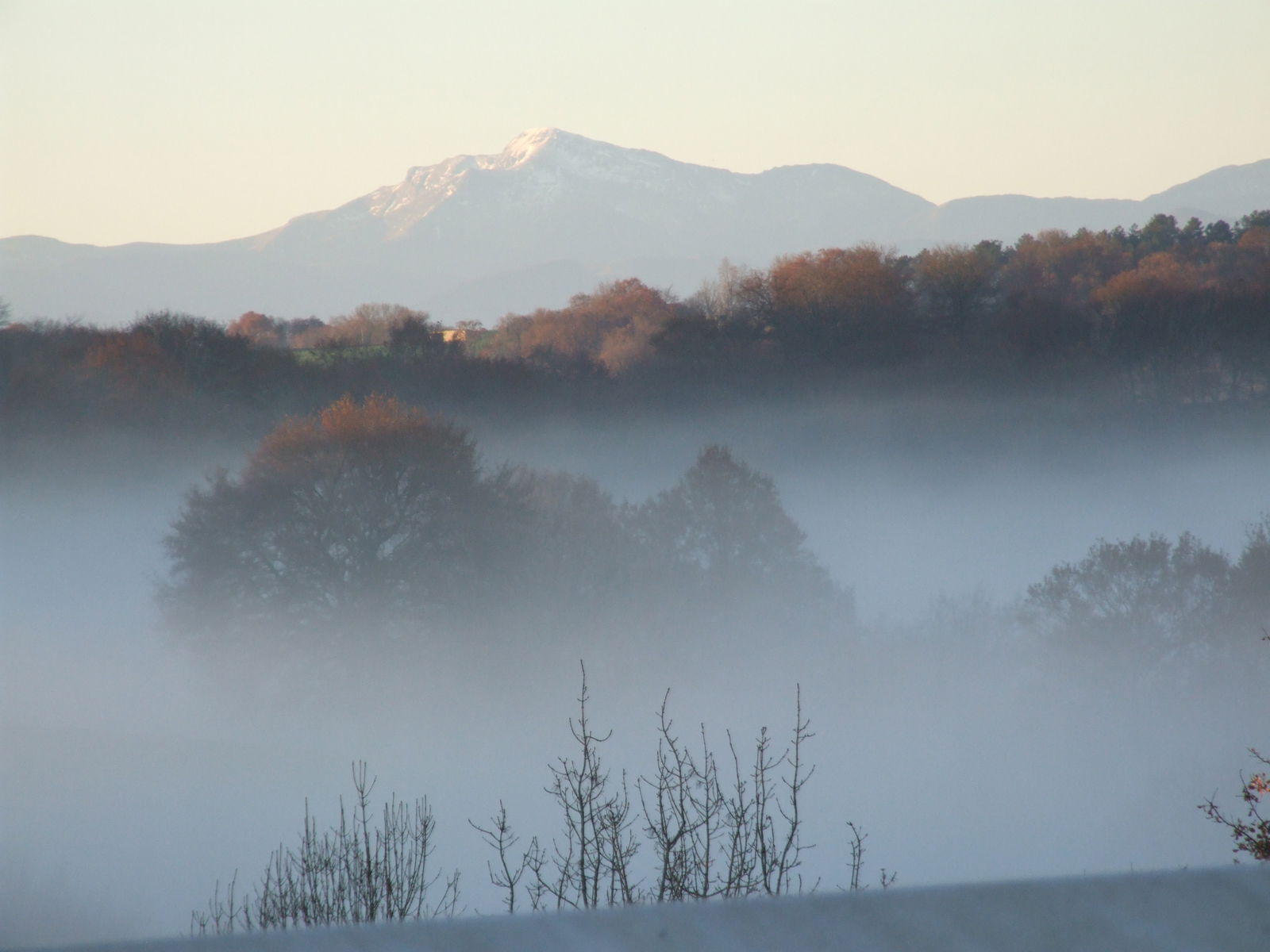 Bed And Breakfast Sauvelade 107695