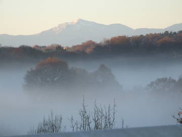 Chambre D'hôte Sauvelade 107695-7