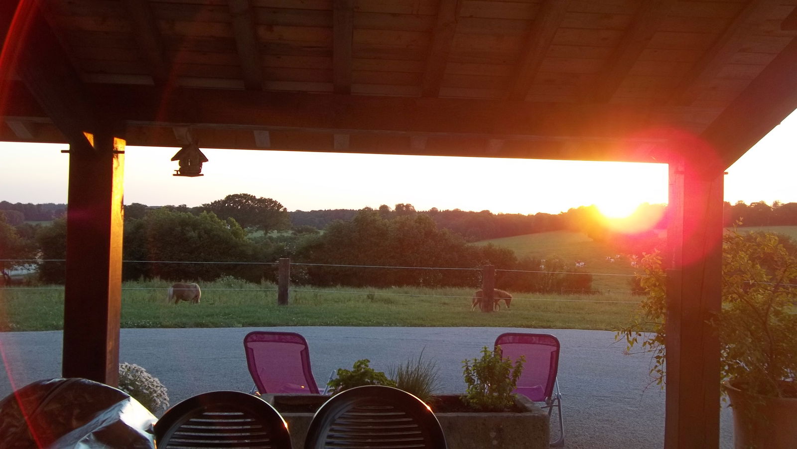 Independent Studio Le Fied 49793