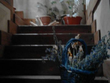 Logement Entier Martincano 138080-12