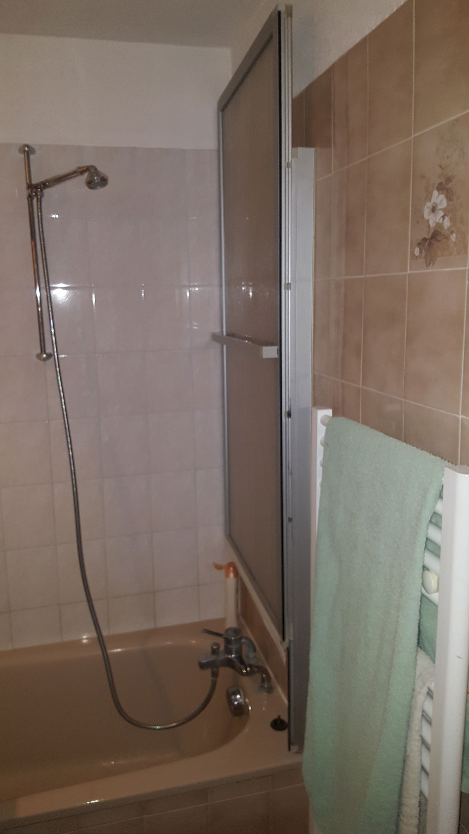 Entire Home Saint-Gervais-les-Bains 30036