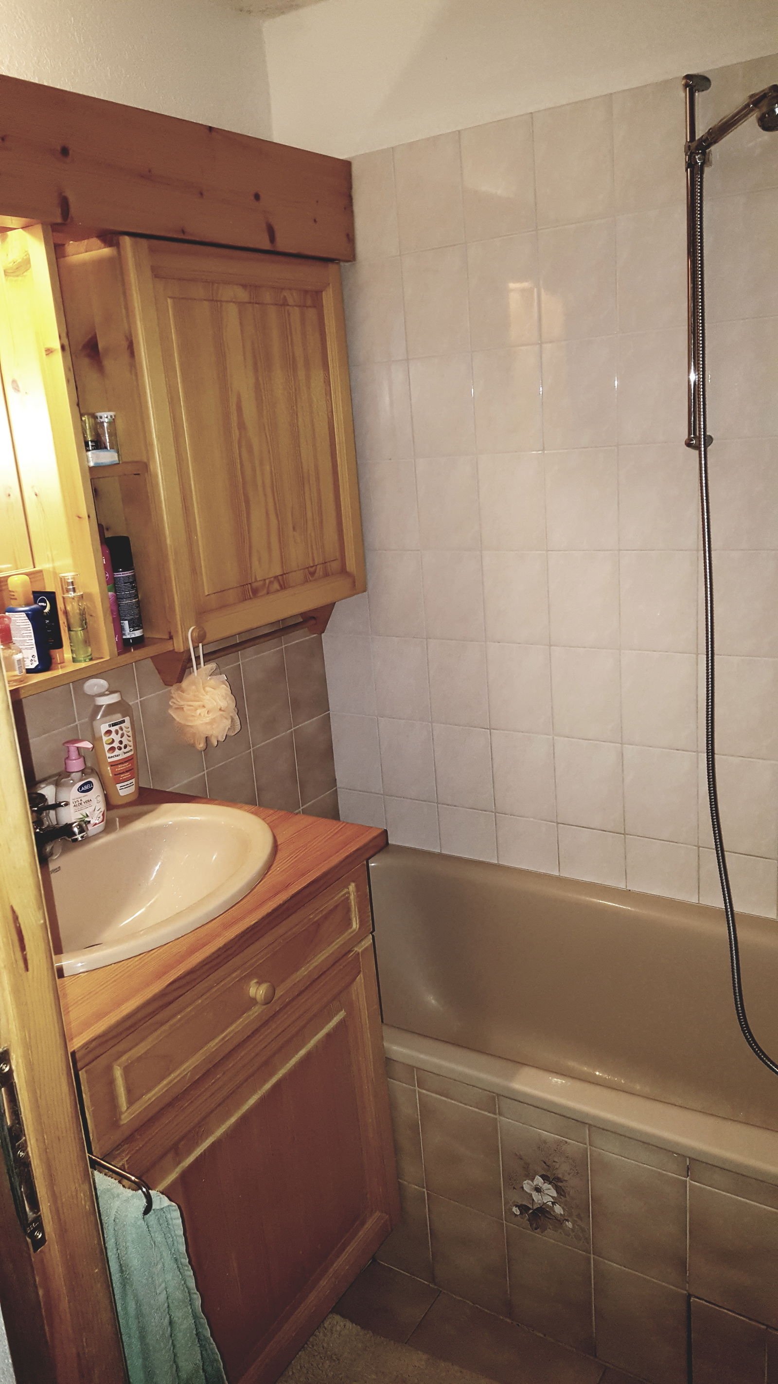 Entire Home Saint-Gervais-les-Bains 30036