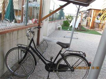 Homestay Cologna Spiaggia 147199-5