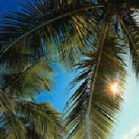 Homestay Cologna Spiaggia 147199