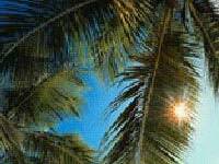 Homestay Cologna Spiaggia 147199-6